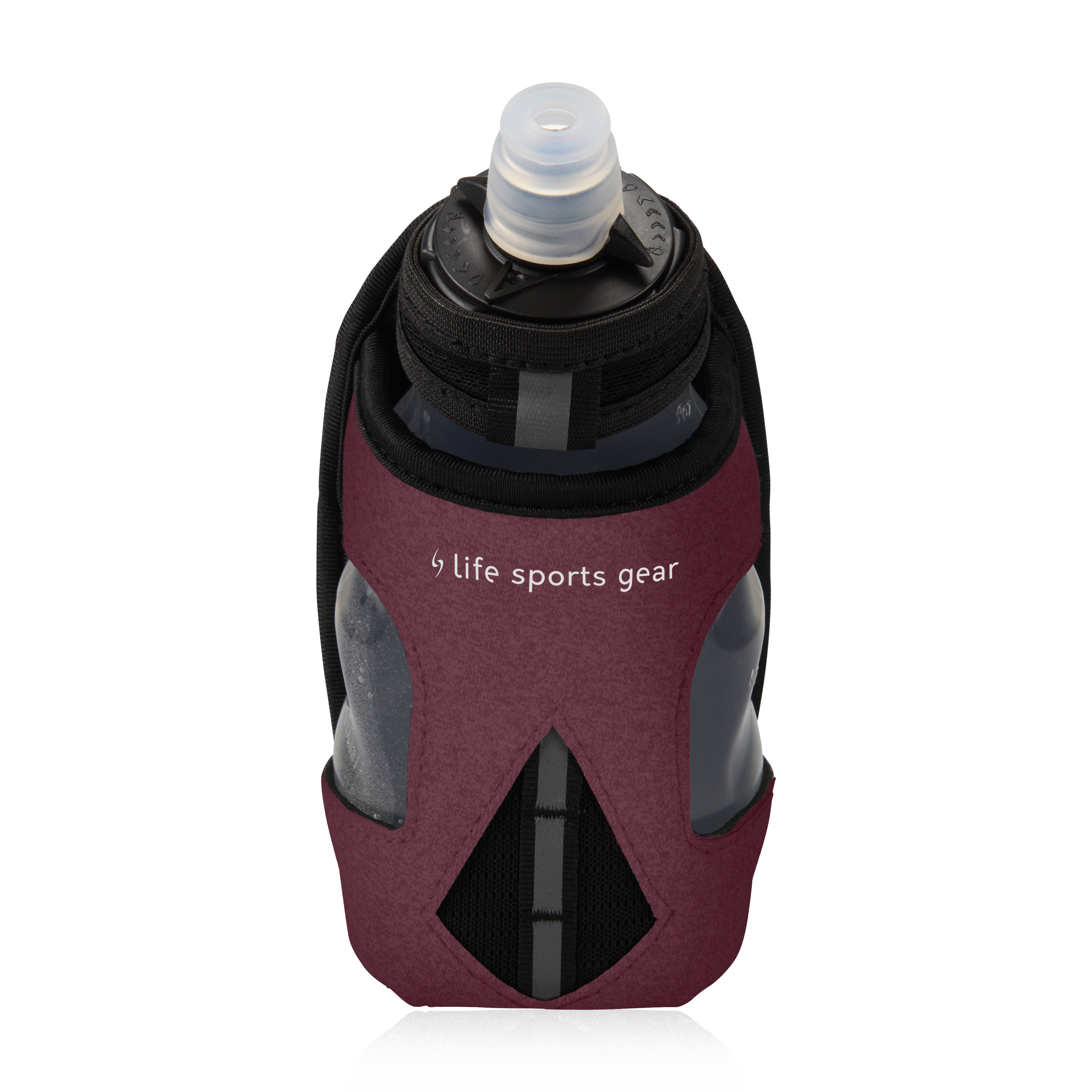 Image LSG ECO Steam Bouteille à main PRUNE